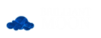 Brilliant Moon
